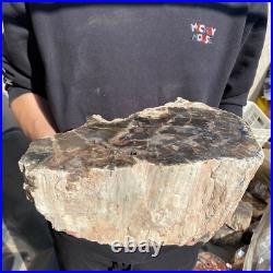 27.8lb Rare Natural petrified wood rough Wood fossil mineral specimen healing 27.8lb Rare Natural petrified wood rough Wood fossil mineral specimen healing