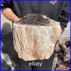 27.8lb Rare Natural petrified wood rough Wood fossil mineral specimen healing 27.8lb Rare Natural petrified wood rough Wood fossil mineral specimen healing