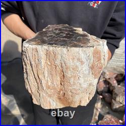 27.8lb Rare Natural petrified wood rough Wood fossil mineral specimen healing 27.8lb Rare Natural petrified wood rough Wood fossil mineral specimen healing