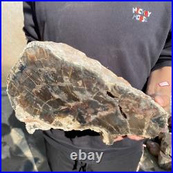 27.8lb Rare Natural petrified wood rough Wood fossil mineral specimen healing 27.8lb Rare Natural petrified wood rough Wood fossil mineral specimen healing