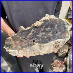 27.8lb Rare Natural petrified wood rough Wood fossil mineral specimen healing 27.8lb Rare Natural petrified wood rough Wood fossil mineral specimen healing