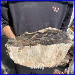 27.8lb Rare Natural petrified wood rough Wood fossil mineral specimen healing 27.8lb Rare Natural petrified wood rough Wood fossil mineral specimen healing
