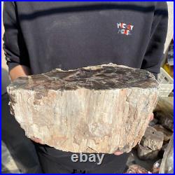 27.8lb Rare Natural petrified wood rough Wood fossil mineral specimen healing 27.8lb Rare Natural petrified wood rough Wood fossil mineral specimen healing