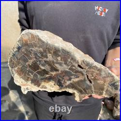 27.8lb Rare Natural petrified wood rough Wood fossil mineral specimen healing 27.8lb Rare Natural petrified wood rough Wood fossil mineral specimen healing