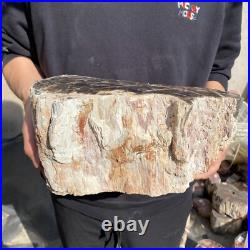 27.8lb Rare Natural petrified wood rough Wood fossil mineral specimen healing 27.8lb Rare Natural petrified wood rough Wood fossil mineral specimen healing
