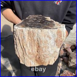27.8lb Rare Natural petrified wood rough Wood fossil mineral specimen healing 27.8lb Rare Natural petrified wood rough Wood fossil mineral specimen healing