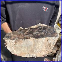 27.8lb Rare Natural petrified wood rough Wood fossil mineral specimen healing 27.8lb Rare Natural petrified wood rough Wood fossil mineral specimen healing