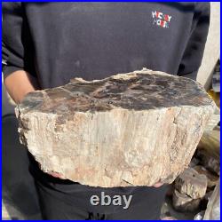 27.8lb Rare Natural petrified wood rough Wood fossil mineral specimen healing 27.8lb Rare Natural petrified wood rough Wood fossil mineral specimen healing