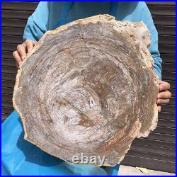 27.94LB Natural Petrified Wood Fossil Crystal Polished Slice Madagascar 2584