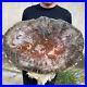 27_9lb_Rare_Natural_petrified_wood_rough_Wood_fossil_mineral_specimen_healing_01_yti