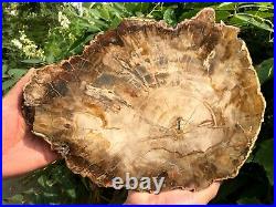 2850g COLORFUL RAINBOW FANTASTIC Madagascar Petrified Wood Round Slab Bark WA152