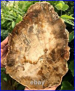 2850g COLORFUL RAINBOW FANTASTIC Madagascar Petrified Wood Round Slab Bark WA152