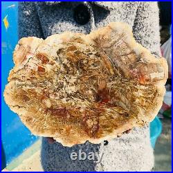 2890g Natural Petrified Wood Fossil Crystal Polished Slice Madagascar