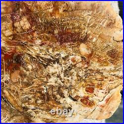 2890g Natural Petrified Wood Fossil Crystal Polished Slice Madagascar