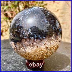 2.1LB Large natural petrified wood crystal fossil ball shape 2.1LB Large natural petrified wood crystal fossil ball shape