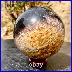 2.1LB Large natural petrified wood crystal fossil ball shape 2.1LB Large natural petrified wood crystal fossil ball shape