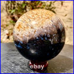 2.1LB Large natural petrified wood crystal fossil ball shape 2.1LB Large natural petrified wood crystal fossil ball shape