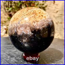 2.1LB Large natural petrified wood crystal fossil ball shape 2.1LB Large natural petrified wood crystal fossil ball shape
