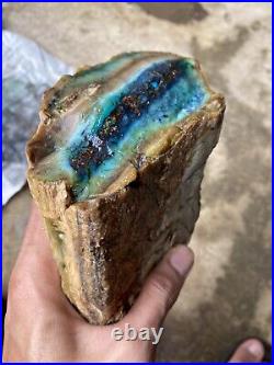 2.1 kg RARE Blue Opal Petrified Wood Rough Indonesia Opal Wood Copper Rough AAA