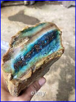 2.1 kg RARE Blue Opal Petrified Wood Rough Indonesia Opal Wood Copper Rough AAA