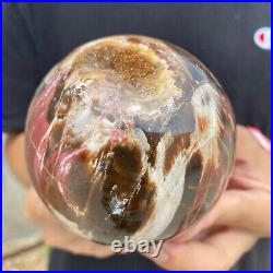 2.1lb Natural Petrified Wood fossil Quartz sphere Crystal Ball specimen Healing
