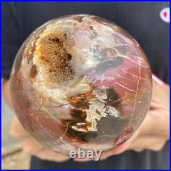 2.1lb Natural Petrified Wood fossil Quartz sphere Crystal Ball specimen Healing