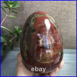 2.2kg Natural Petrified Wood Sphere Fossil Agate Quartz Crystal Egg Madagascar