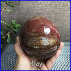 2.2kg Natural Petrified Wood Sphere Fossil Agate Quartz Crystal Egg Madagascar