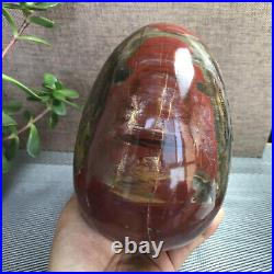 2.2kg Natural Petrified Wood Sphere Fossil Agate Quartz Crystal Egg Madagascar