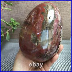 2.2kg Natural Petrified Wood Sphere Fossil Agate Quartz Crystal Egg Madagascar