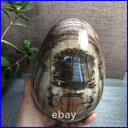 2.2kg Natural Petrified Wood Sphere Fossil Agate Quartz Crystal Egg Madagascar