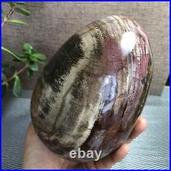 2.2kg Natural Petrified Wood Sphere Fossil Agate Quartz Crystal Egg Madagascar