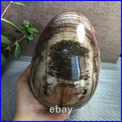 2.2kg Natural Petrified Wood Sphere Fossil Agate Quartz Crystal Egg Madagascar