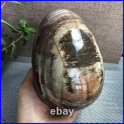 2.2kg Natural Petrified Wood Sphere Fossil Agate Quartz Crystal Egg Madagascar