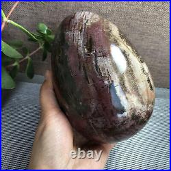 2.2kg Natural Petrified Wood Sphere Fossil Agate Quartz Crystal Egg Madagascar