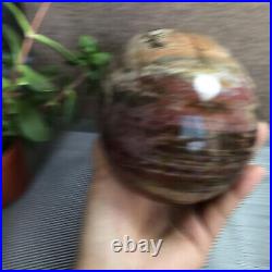 2.2kg Natural Petrified Wood Sphere Fossil Agate Quartz Crystal Egg Madagascar