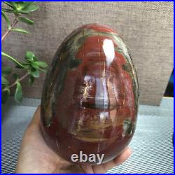 2.2kg Natural Petrified Wood Sphere Fossil Agate Quartz Crystal Egg Madagascar