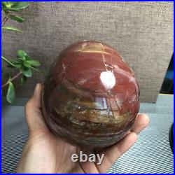 2.2kg Natural Petrified Wood Sphere Fossil Agate Quartz Crystal Egg Madagascar