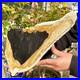 2_36LB_Large_Natural_Petrified_Wood_Crystal_Fossil_Slice_Shape_Healing_Specimen_01_uuhp