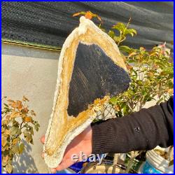 2.36LB Large Natural Petrified Wood Crystal Fossil Slice Shape Healing Specimen 2.36LB Large Natural Petrified Wood Crystal Fossil Slice Shape Healing Specimen