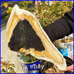 2.36LB Large Natural Petrified Wood Crystal Fossil Slice Shape Healing Specimen 2.36LB Large Natural Petrified Wood Crystal Fossil Slice Shape Healing Specimen