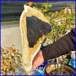 2.36LB Large Natural Petrified Wood Crystal Fossil Slice Shape Healing Specimen 2.36LB Large Natural Petrified Wood Crystal Fossil Slice Shape Healing Specimen