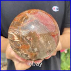2.3lb Natural Petrified Wood fossil Quartz sphere Crystal Ball specimen Healing