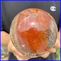 2.3lb Natural Petrified Wood fossil Quartz sphere Crystal Ball specimen Healing