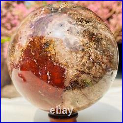 2.43lb Large Natural Petrified Wood Crystal Fossil Sphere Specimen Healing