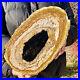 2_47LB_Large_natural_Petrified_wood_crystal_fossil_piece_sample_restoration_01_dujz