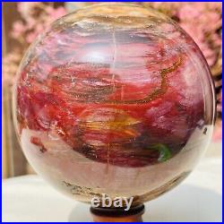 2.56lb Large Natural Petrified Wood Crystal Fossil Sphere Specimen Healing