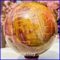 2.56lb Large Natural Petrified Wood Crystal Fossil Sphere Specimen Healing