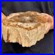 2_5lb_Rare_Natural_petrified_wood_rough_Wood_fossil_mineral_specimen_healing_01_esk