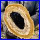 2_62LB_Large_natural_Petrified_wood_crystal_fossil_piece_sample_restoration_01_ccft